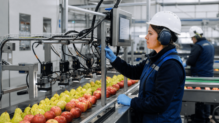 Visión artificial en el packing: qué debe medir antes de prometer más velocidad Operadora supervisando una línea de packing con cámaras de visión artificial y fruta fresca.