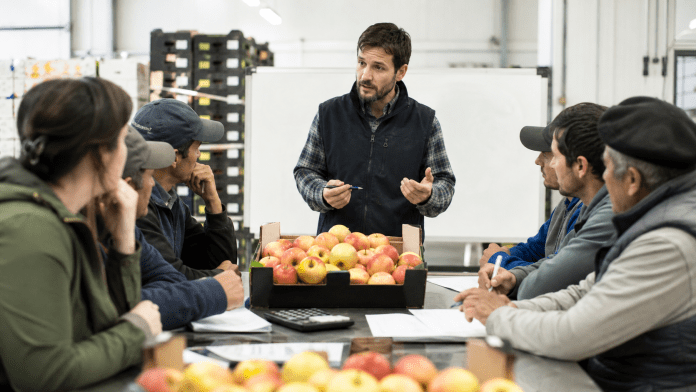 FOB, retorno y liquidación: las palabras que explican si una caja realmente ganó dinero Instructor explicando retorno, FOB y liquidación a productores junto a cajas de fruta.