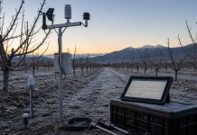 Invierno 2026 en los huertos: la pausa que decide parte de la primavera Huerto frutal de invierno con escarcha, estación meteorológica y tablet con datos climáticos.