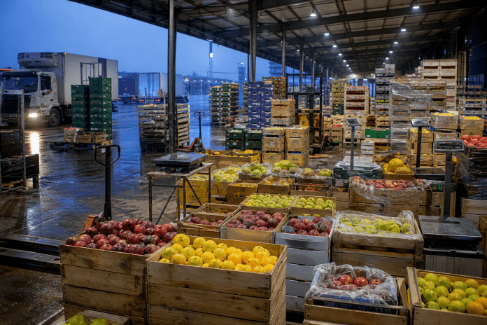 El precio de la fruta también se decide antes del exportador: cómo leer el mercado mayorista de agosto Mercado mayorista con pallets, cajones, balanzas y fruta de temporada durante la primera hora de la mañana.