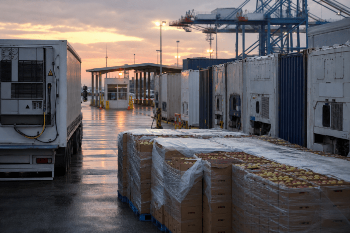 Patio portuario con contenedores refrigerados, camión reefer, pallets de fruta y zona de inspección al amanecer.