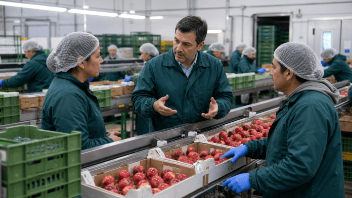 Jefe de packing: el rol que decide calidad cuando el huerto ya habló Jefe de packing coordinando línea de selección y calidad en una planta frutícola.
