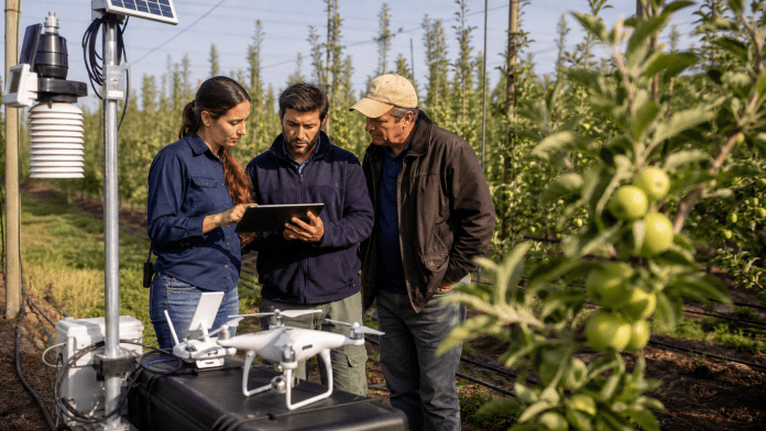 Sensores, drones e IA: la tecnología útil es la que cambia una decisión en el campo Agrónoma, técnico y productor revisando sensores, dron y datos de vigor en un huerto frutal.