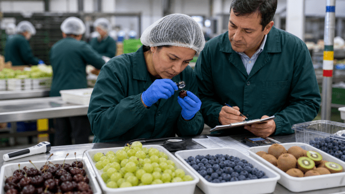 Control de calidad: el oficio silencioso que conversa con el comprador antes que todos Inspectora revisando calidad, firmeza y defectos de frutas frescas de exportación en packing.