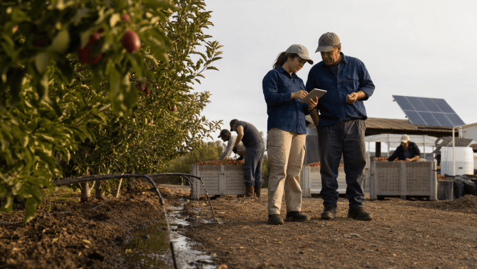 Agua, descarte y clima: la sustentabilidad dejo de ser discurso y entro al packing Equipo agricola revisando riego y fruta de descarte destinada a circularidad en un huerto chileno.