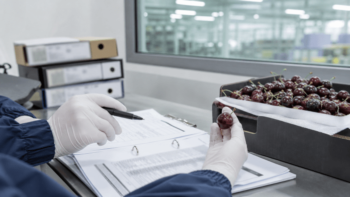 Auditorías sin maquillaje: la inocuidad se construye antes de que llegue el inspector Manos con guantes revisando documentación de auditoría y muestra de cerezas en packing.