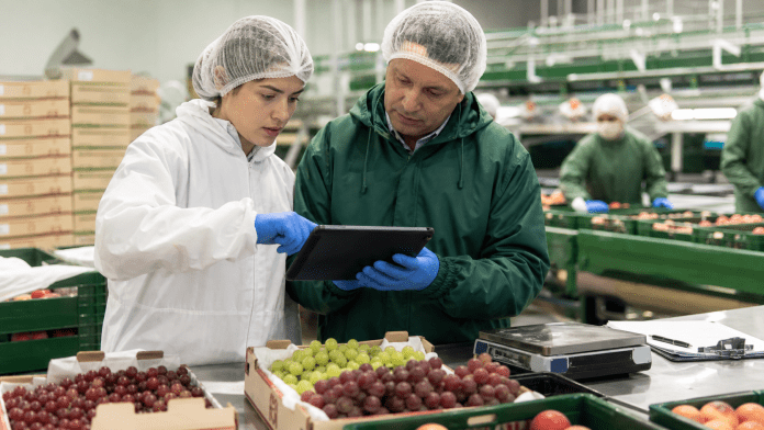 Inocuidad y certificaciones: la confianza invisible detras de cada caja exportada Auditora de inocuidad revisando trazabilidad y fruta fresca en un packing de exportacion.