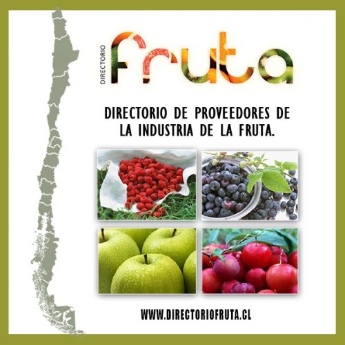 COMPRAR MEMBRESÍA por 1 mes