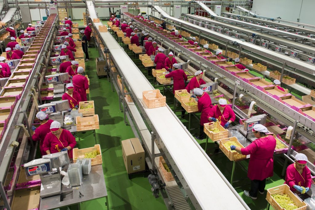 Industria de la fruta; análisis y