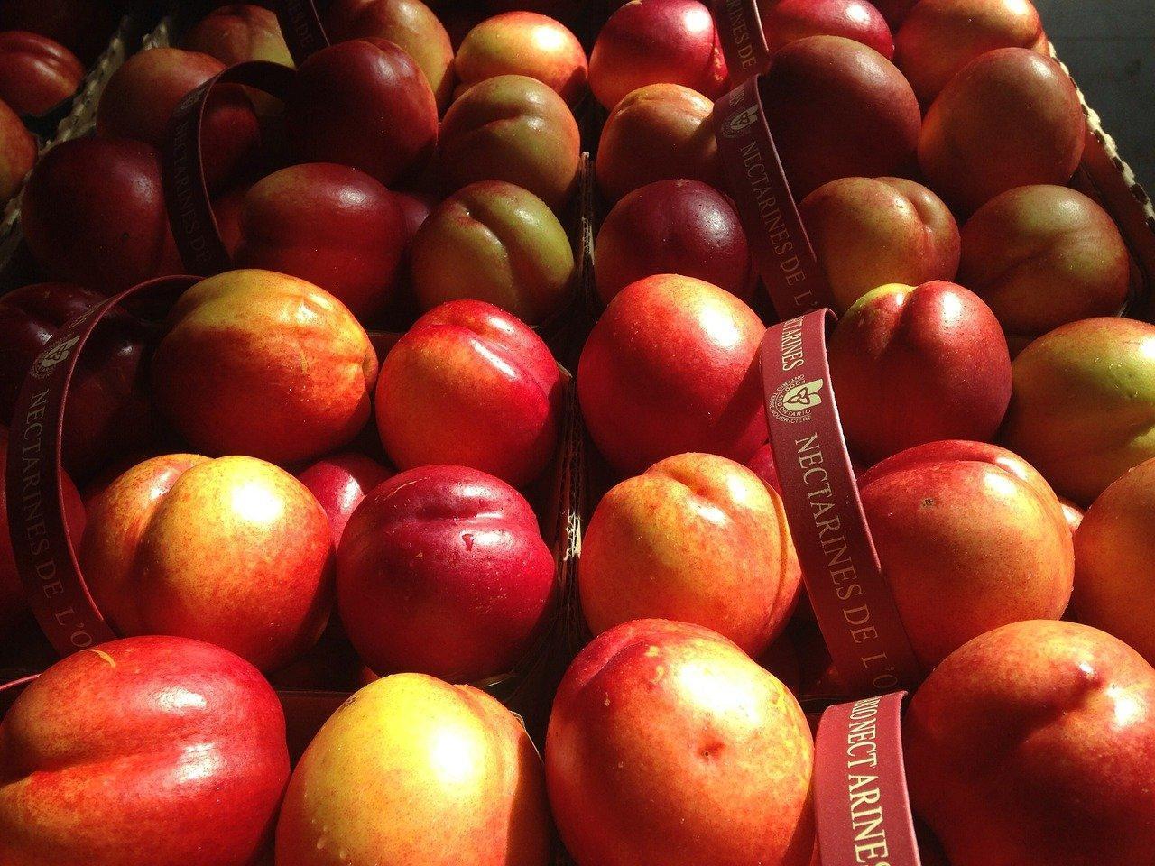 Nectarines, proyectan aumento del 7 en exportaciones Directorio de