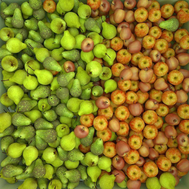 Peras y manzanas, aumenta producción mundial e incluye uvas