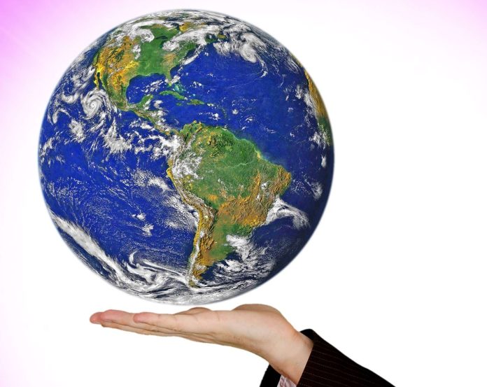 gigantes exportadores directoriofruta.cl