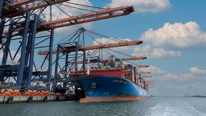 servicios directos directoriofruta.cl