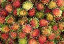 Frutas exóticas más demandadas por los chilenos