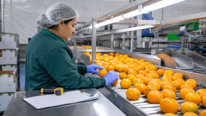 Operaria inspecciona citricos en una linea de packing para exportacion.